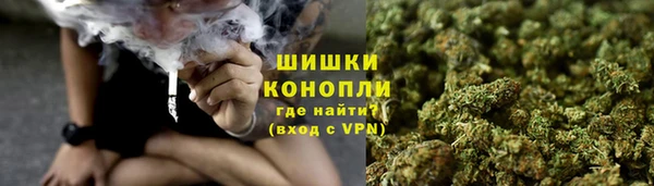 прущий лед Богданович
