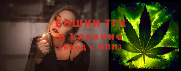 прущий лед Богданович