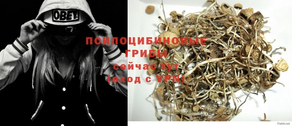 прущий лед Богданович