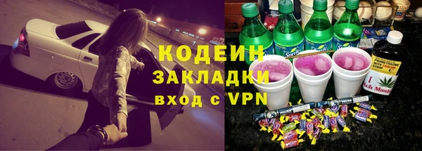 прущий лед Богданович