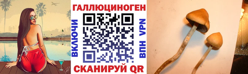 mega   Беслан  Галлюциногенные грибы ЛСД 
